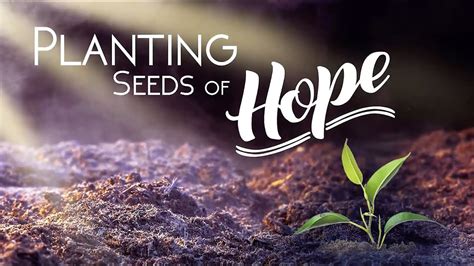 Planting Seeds of Hope: A Journey Through Resilience and Growth - Embracing Personal Transformation Amidst Life's Storms