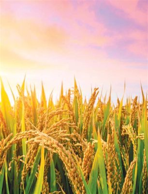 Organic Rice Farming: A Timeless Journey of Sustenance and Harmony - Unveiling the Secrets of Traditional Indonesian Practices